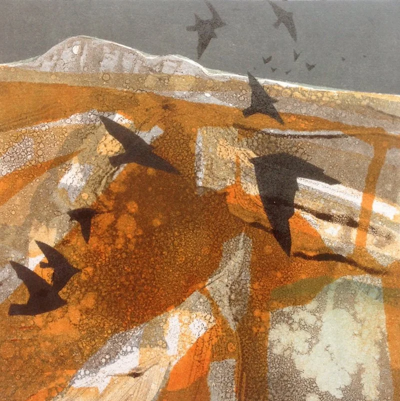 洋書 Outline South West by Anita Reynolds Exhibition: Outline South West / Anita Reynolds | mags phelan